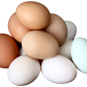 Brown and white Eggs