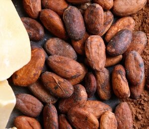 Cocoa Beans And Cocoa Products