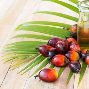 Palm Nuts And Palm Products